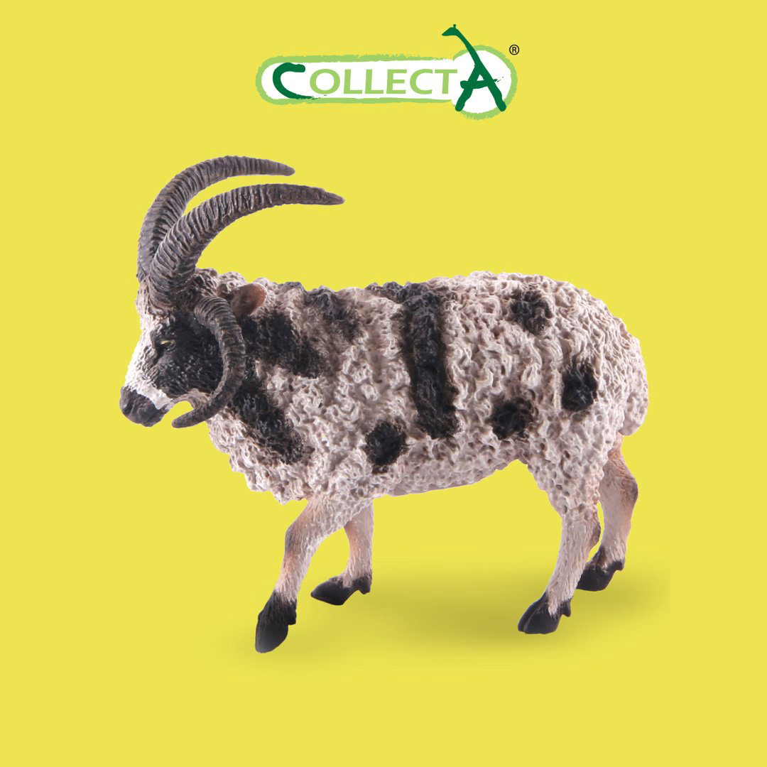Фигурка Collecta Овца четырехрогая 7.6 см 1 шт купить,NaN