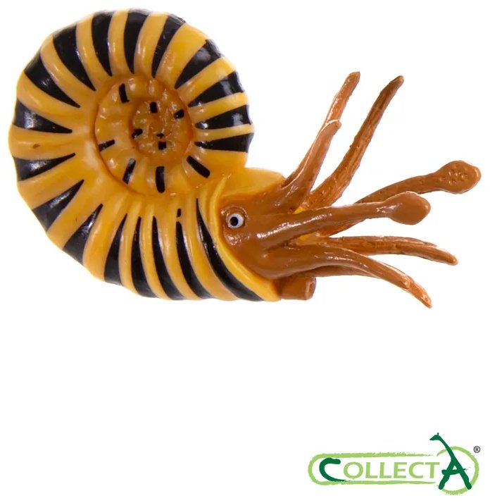 Фигурка Collecta Морские доисторические животные: Дунклеостей, Лидсихтис, Плиозавр, Ксифактин, Архелон, Темнодонтозавр, Камероцерас, Бакулит, Парапузосия, Ойноид, Австралицер, Дипломоцер 4.2 см 12 шт