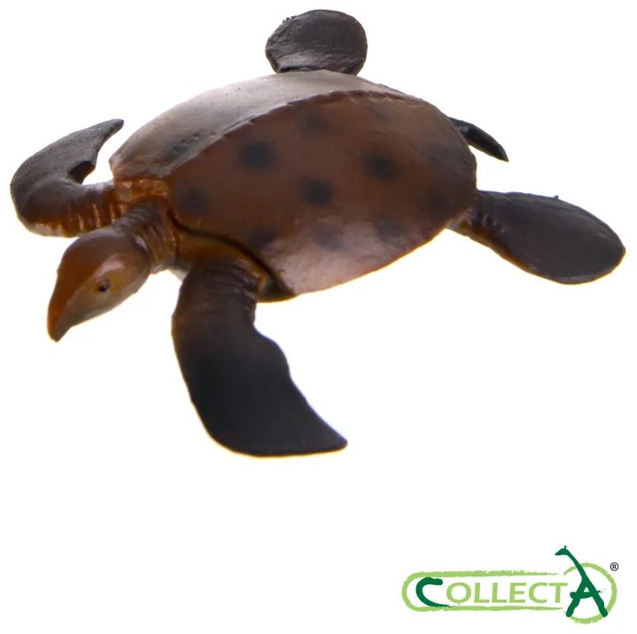 Фигурка Collecta Морские доисторические животные: Дунклеостей, Лидсихтис, Плиозавр, Ксифактин, Архелон, Темнодонтозавр, Камероцерас, Бакулит, Парапузосия, Ойноид, Австралицер, Дипломоцер 4.2 см 12 шт