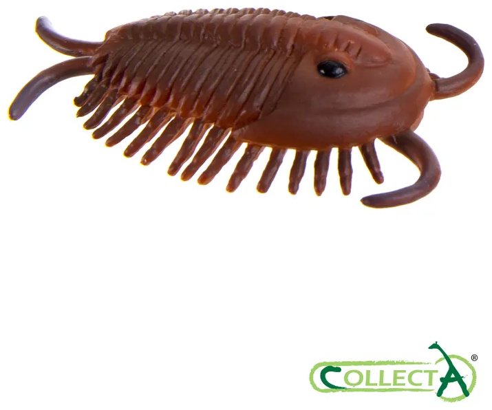 Фигурка Collecta Морские доисторические животные: Дунклеостей, Лидсихтис, Плиозавр, Ксифактин, Архелон, Темнодонтозавр, Камероцерас, Бакулит, Парапузосия, Ойноид, Австралицер, Дипломоцер 4.2 см 12 шт