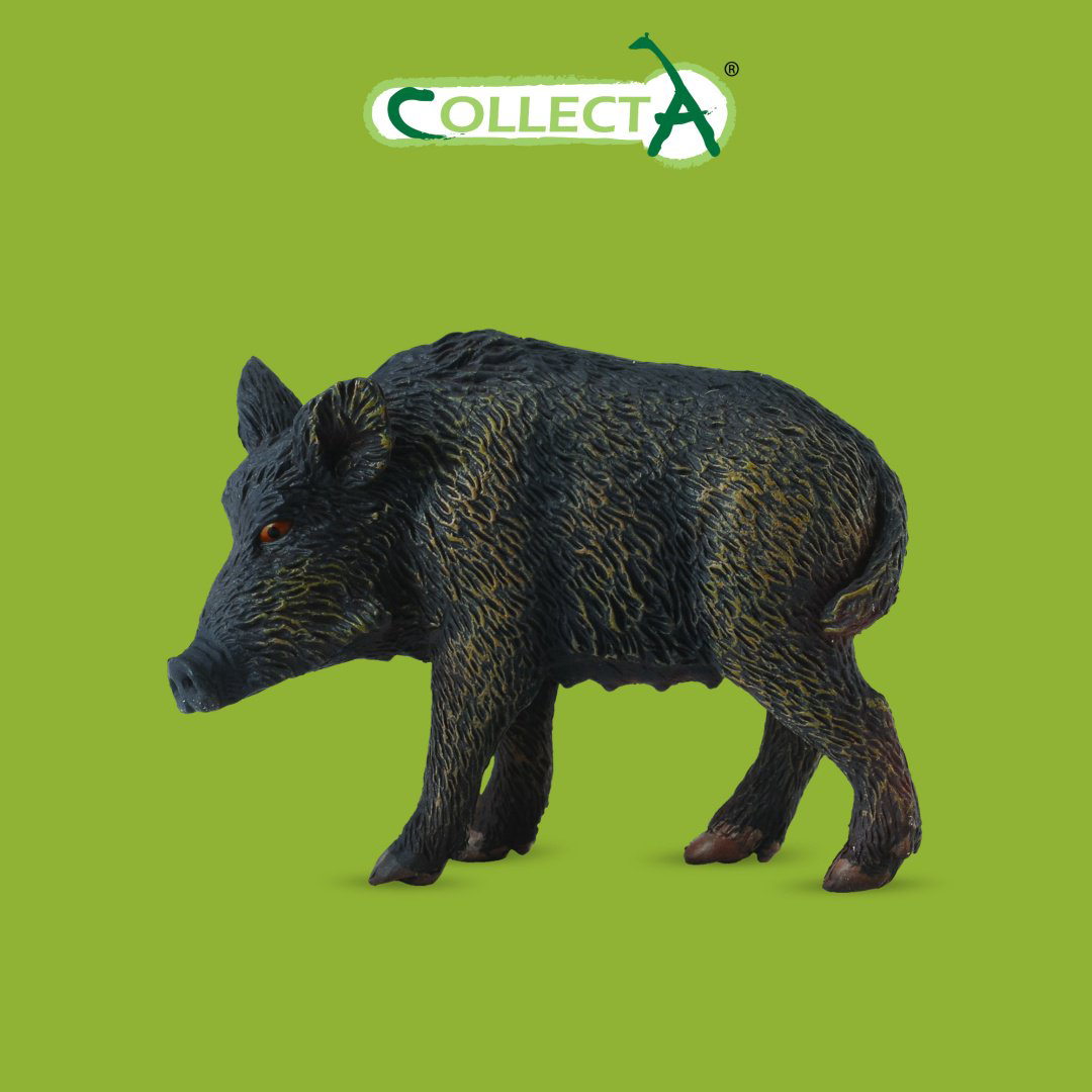 Фигурка Collecta Дикая свинья 5 см 1 шт купить,NaN