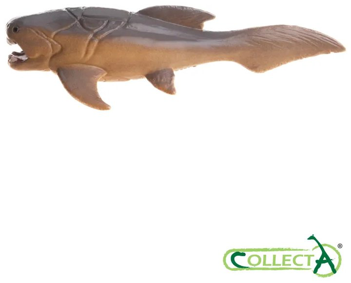 Фигурка Collecta Морские доисторические животные: Дунклеостей, Лидсихтис, Плиозавр, Ксифактин, Архелон, Темнодонтозавр, Камероцерас, Бакулит, Парапузосия, Ойноид, Австралицер, Дипломоцер 4.2 см 12 шт - ForteMarket Фигурка Collecta Морские доисторические животные: Дунклеостей, Лидсихтис, Плиозавр, Ксифактин, Архелон, Темнодонтозавр, Камероцерас, Бакулит, Парапузосия, Ойноид, Австралицер, Дипломоцер 4.2 см 12 шт купить,NaN