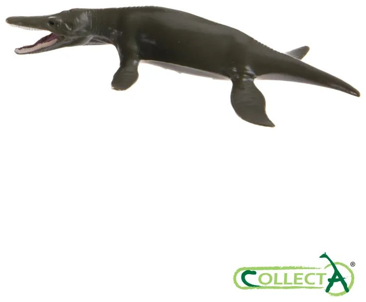 Фигурка Collecta Морские доисторические животные: Дунклеостей, Лидсихтис, Плиозавр, Ксифактин, Архелон, Темнодонтозавр, Камероцерас, Бакулит, Парапузосия, Ойноид, Австралицер, Дипломоцер 4.2 см 12 шт - ForteMarket Фигурка Collecta Морские доисторические животные: Дунклеостей, Лидсихтис, Плиозавр, Ксифактин, Архелон, Темнодонтозавр, Камероцерас, Бакулит, Парапузосия, Ойноид, Австралицер, Дипломоцер 4.2 см 12 шт купить,NaN