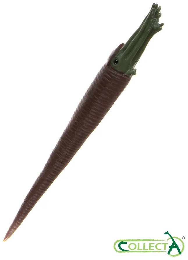 Фигурка Collecta Морские доисторические животные: Дунклеостей, Лидсихтис, Плиозавр, Ксифактин, Архелон, Темнодонтозавр, Камероцерас, Бакулит, Парапузосия, Ойноид, Австралицер, Дипломоцер 4.2 см 12 шт - ForteMarket Фигурка Collecta Морские доисторические животные: Дунклеостей, Лидсихтис, Плиозавр, Ксифактин, Архелон, Темнодонтозавр, Камероцерас, Бакулит, Парапузосия, Ойноид, Австралицер, Дипломоцер 4.2 см 12 шт купить,NaN