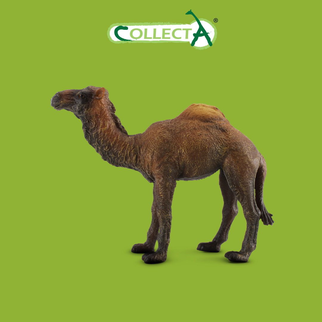 Фигурка Collecta Одногорбый верблюд 8 см 1 шт купить,NaN