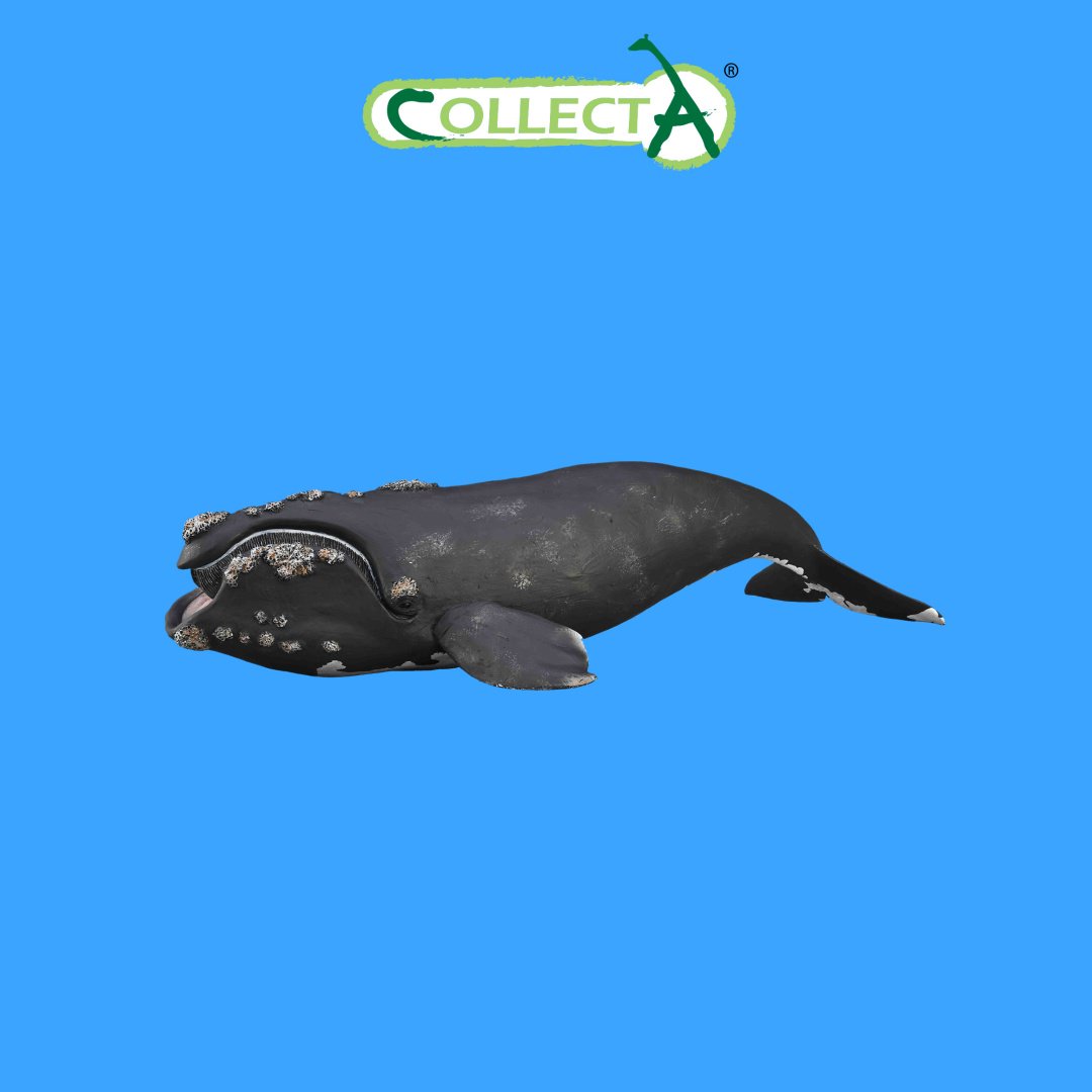 Фигурка Collecta Южный кит 24.7 см 1 шт