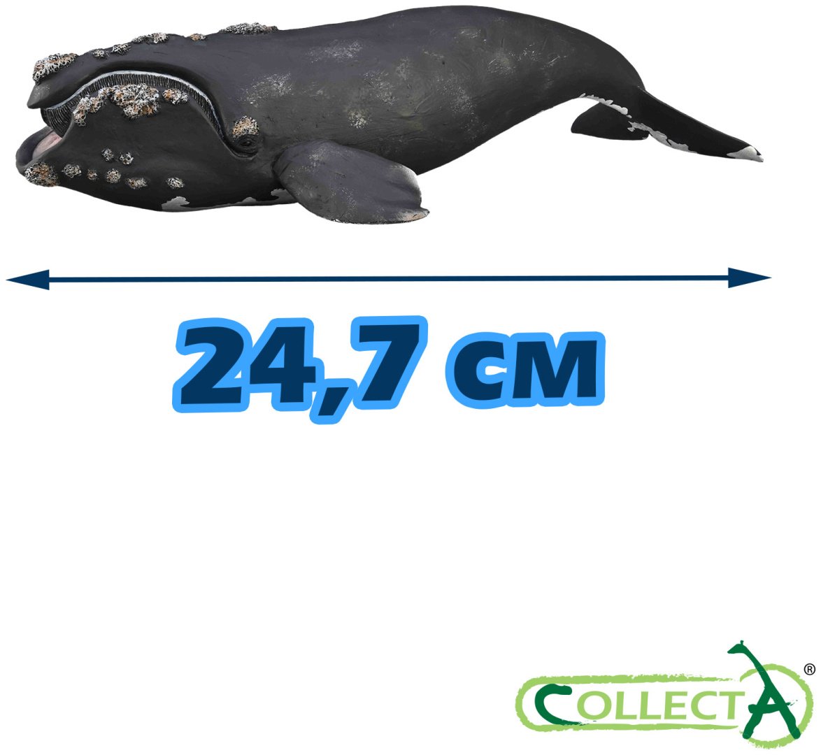 Фигурка Collecta Южный кит 24.7 см 1 шт