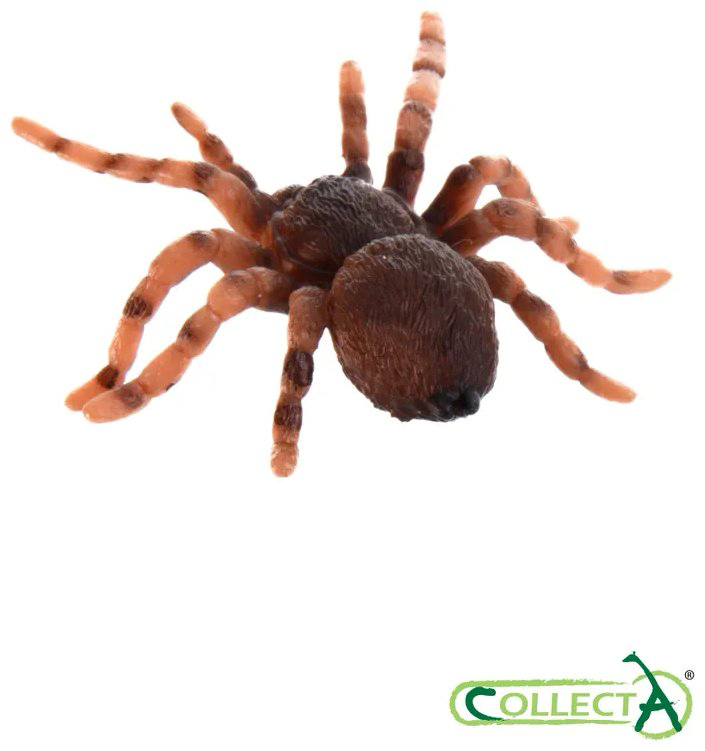 Фигурка Collecta Насекомые: мексиканский тарантул, стрекоза, богомол, пчела, жук-олень, скорпион, бабочка, паук чёрная вдова, божья коровка, кузнечик, жук-носорог, многоножка. 4.2 см 12 шт - ForteMarket Фигурка Collecta Насекомые: мексиканский тарантул, стрекоза, богомол, пчела, жук-олень, скорпион, бабочка, паук чёрная вдова, божья коровка, кузнечик, жук-носорог, многоножка. 4.2 см 12 шт купить,NaN