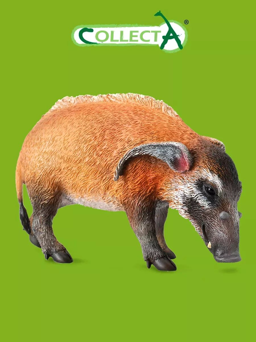 Фигурка Collecta Дикий кабан 5 см 1 шт