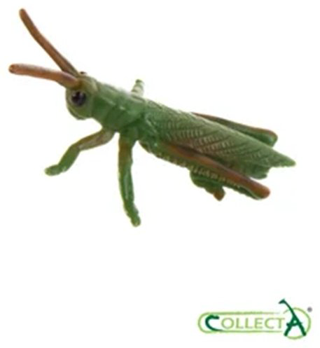 Фигурка Collecta Насекомые: мексиканский тарантул, стрекоза, богомол, пчела, жук-олень, скорпион, бабочка, паук чёрная вдова, божья коровка, кузнечик, жук-носорог, многоножка. 4.2 см 12 шт - ForteMarket Фигурка Collecta Насекомые: мексиканский тарантул, стрекоза, богомол, пчела, жук-олень, скорпион, бабочка, паук чёрная вдова, божья коровка, кузнечик, жук-носорог, многоножка. 4.2 см 12 шт купить,NaN