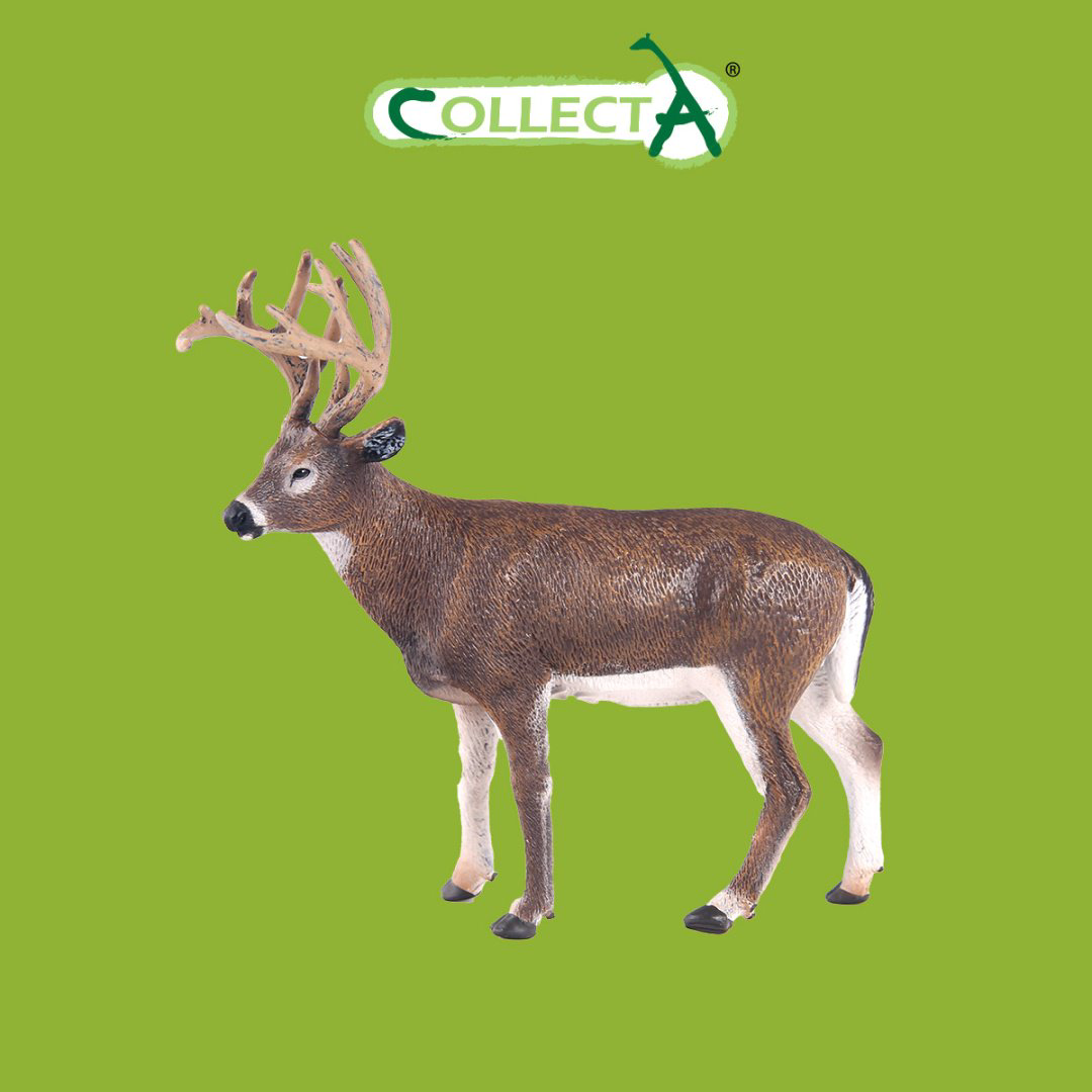Фигурка Collecta Олень белохвостый 9.2 см 1 шт