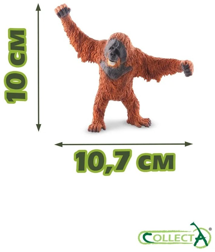 Фигурка Collecta Дикая природа 10 см 1 шт купить,NaN