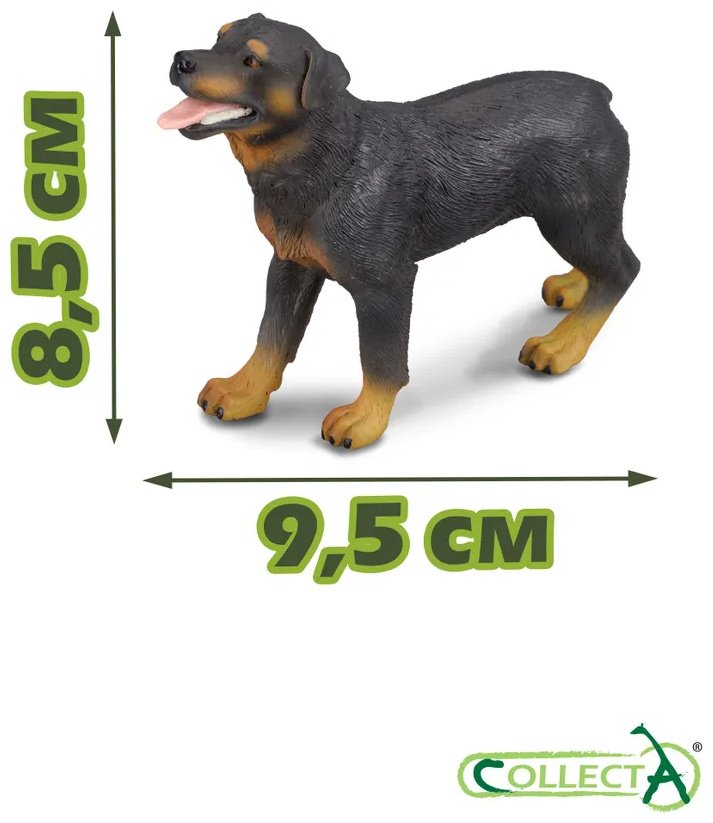Фигурка Collecta Ротвейлер, ,L 8.5 см 1 шт