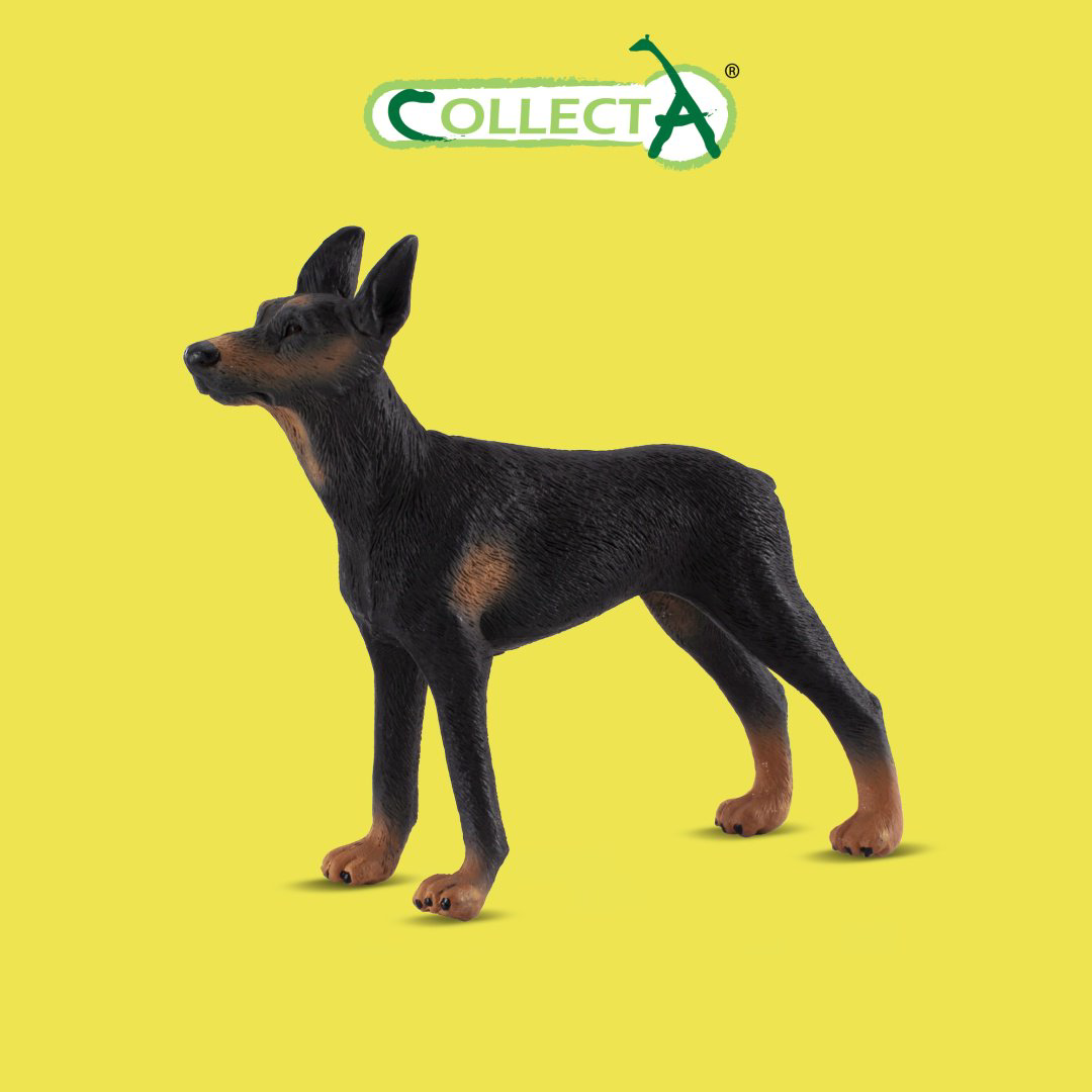 Фигурка Collecta Доберман-пинчер 9 см 1 шт