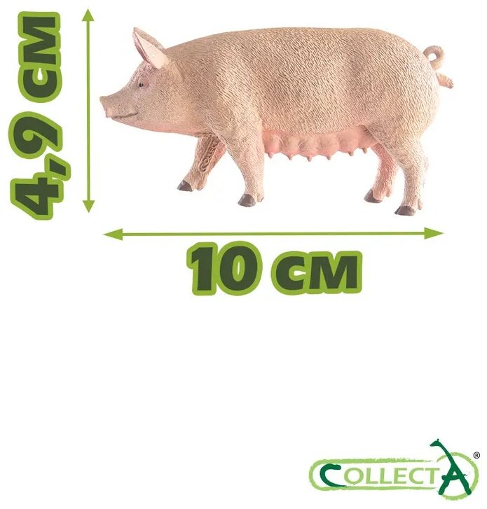 Фигурка Collecta Свинья, M 4.9 см 1 шт