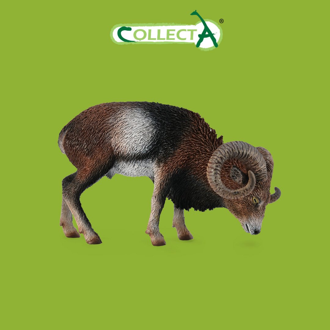 Фигурка Collecta Европейский муфлон 5.5 см 1 шт