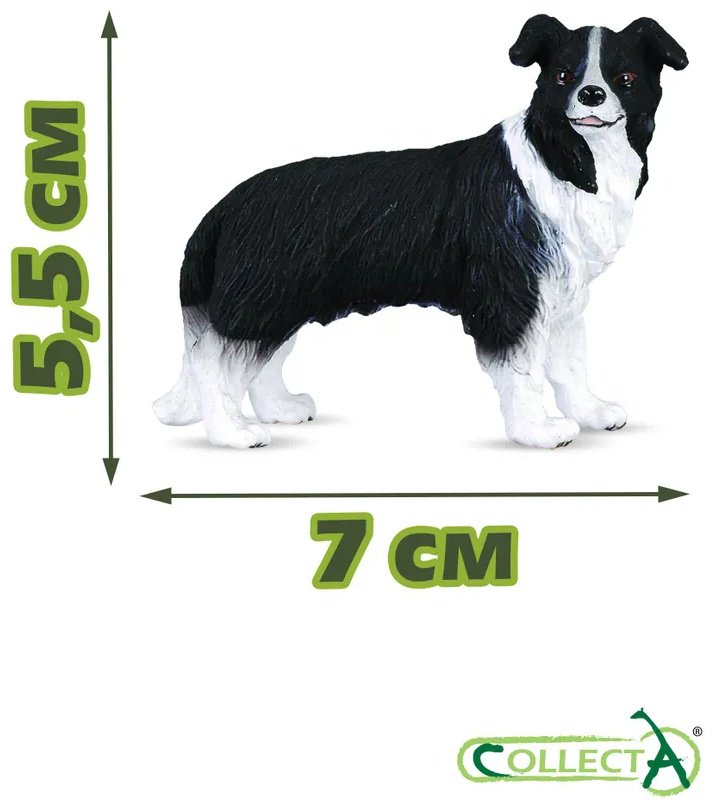 Фигурка Collecta Собака Бордер-колли, M 5.5 см 1 шт