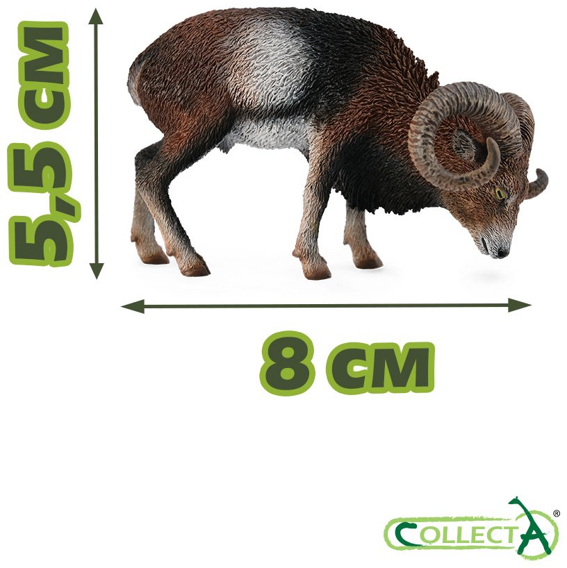 Фигурка Collecta Европейский муфлон 5.5 см 1 шт