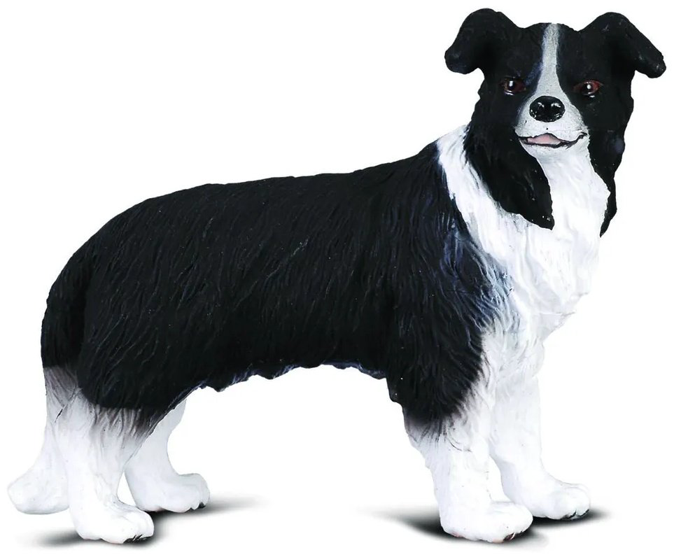 Фигурка Collecta Собака Бордер-колли, M 5.5 см 1 шт купить,NaN