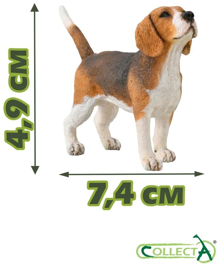 Фигурка Collecta Собака охотничья Бигль, M 4.9 см 1 шт