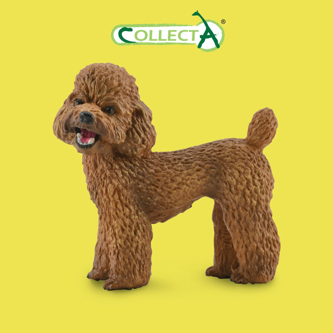 Фигурка Collecta Пудель 4.2 см 1 шт