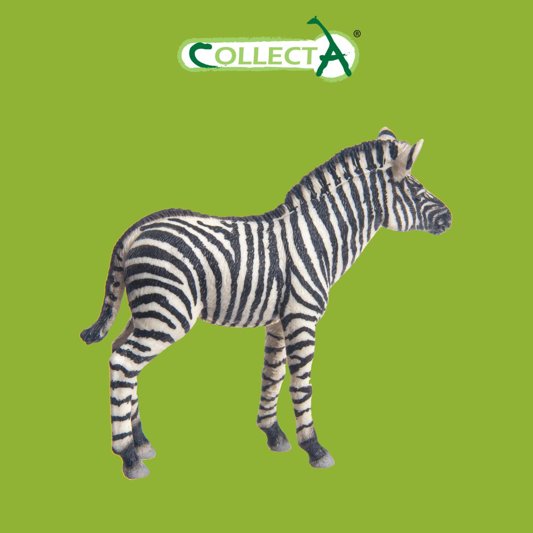 Фигурка Collecta Жеребёнок зебры 7 см 1 шт