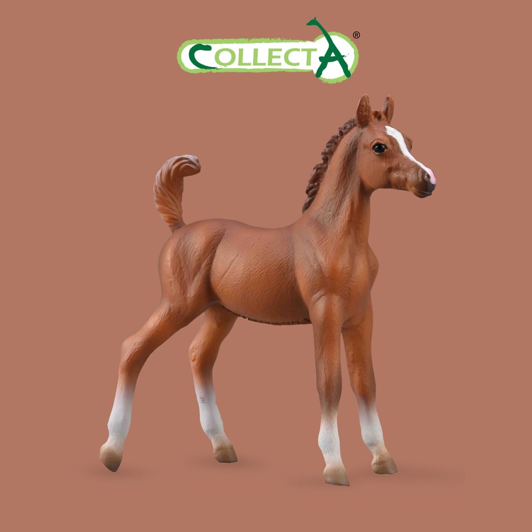 Фигурка Collecta Жеребёнок Арабской лошади 8.8 см 1 шт