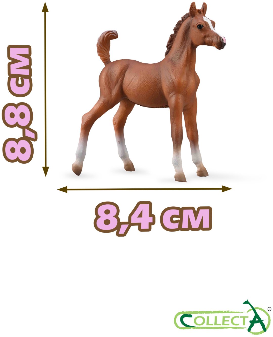 Фигурка Collecta Жеребёнок Арабской лошади 8.8 см 1 шт