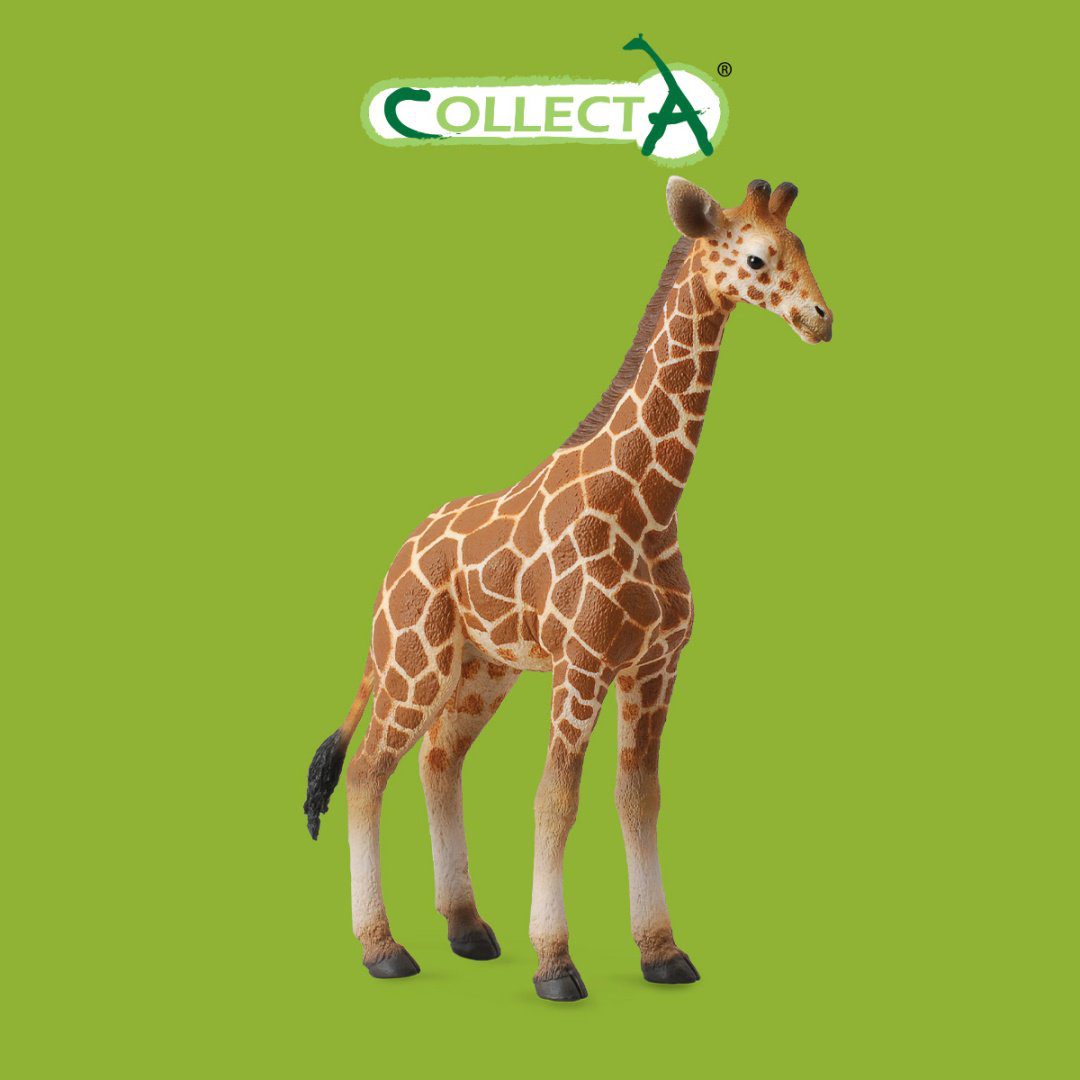Фигурка Collecta Жеребёнок Сетчатого Жирафа 13.9 см 1 шт