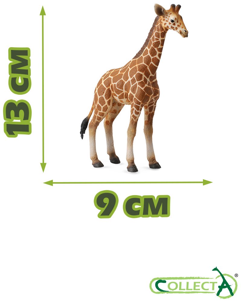 Фигурка Collecta Жеребёнок Сетчатого Жирафа 13.9 см 1 шт