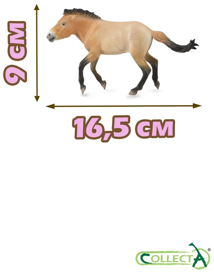 Фигурка Collecta Лошадь Жеребец Пржевальского, XL 9 см 1 шт