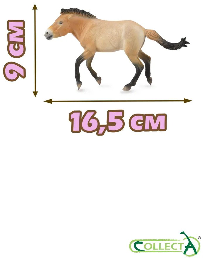 Фигурка Collecta Лошадь Жеребец Пржевальского, XL 9 см 1 шт купить,NaN
