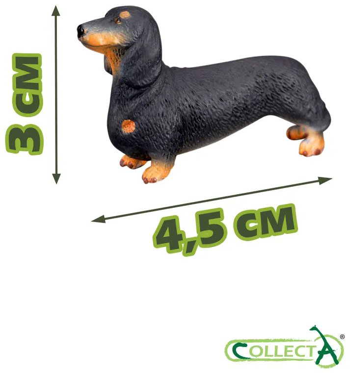 Фигурка Collecta собака Такса, S 3 см 1 шт