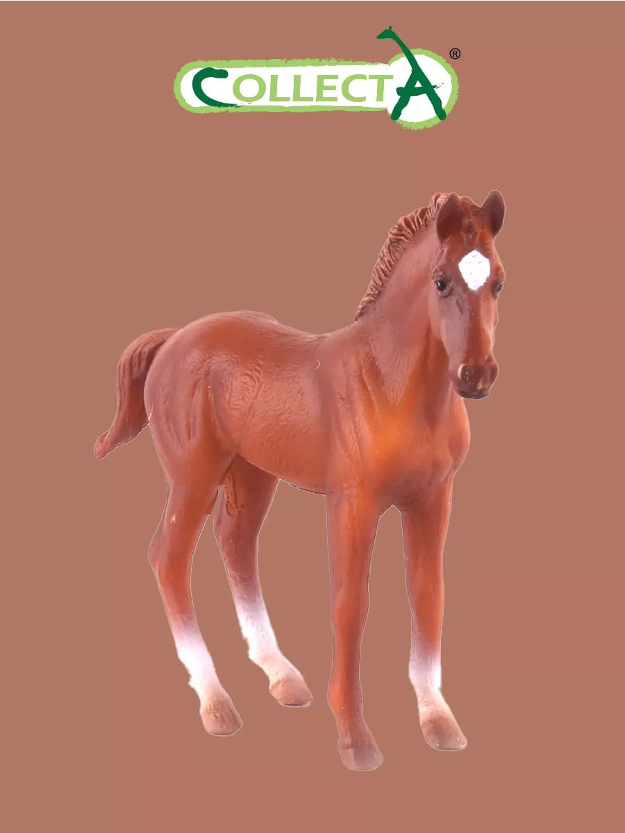 Фигурка Collecta Жеребец чистокровный 8.7 см 1 шт купить,NaN