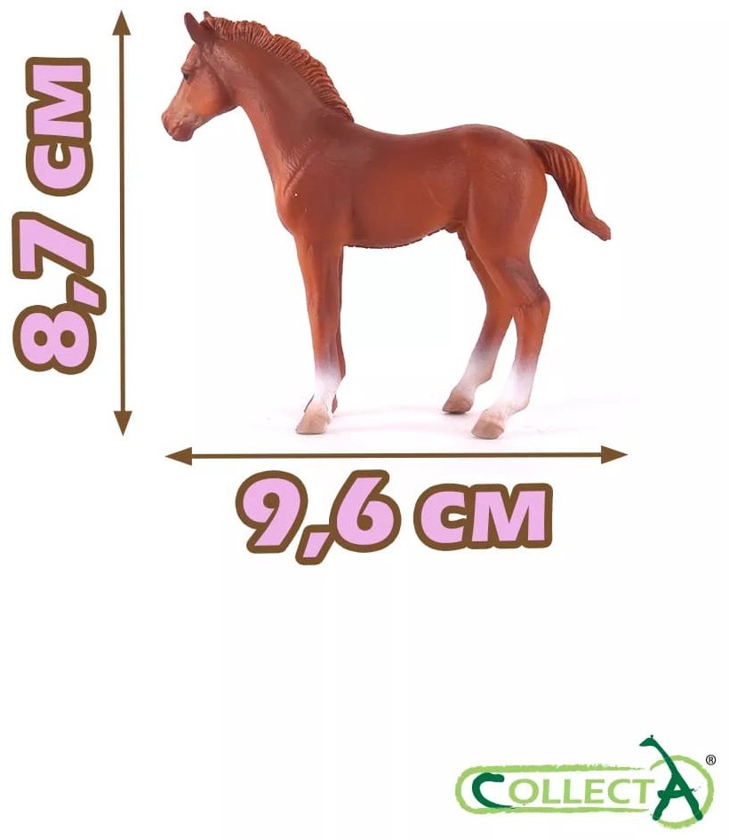 Фигурка Collecta Жеребец чистокровный 8.7 см 1 шт