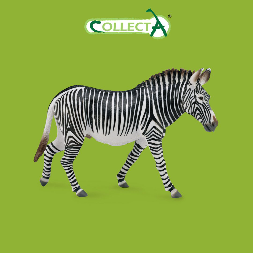 Фигурка Collecta Зебра Греви 9.3 см 1 шт