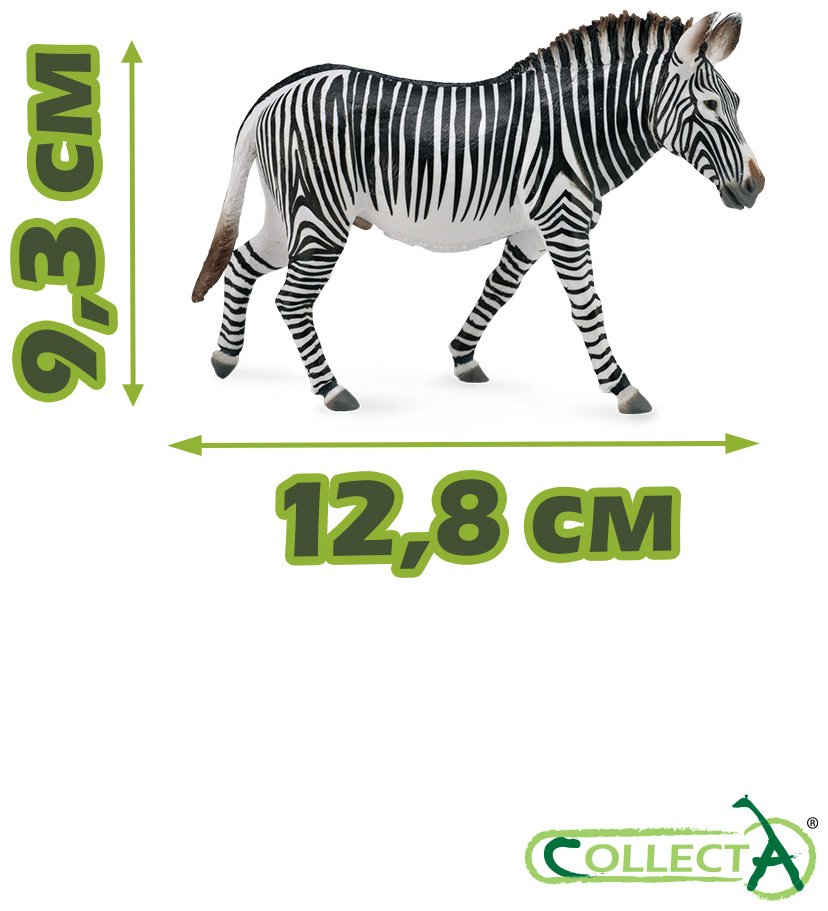 Фигурка Collecta Зебра Греви 9.3 см 1 шт