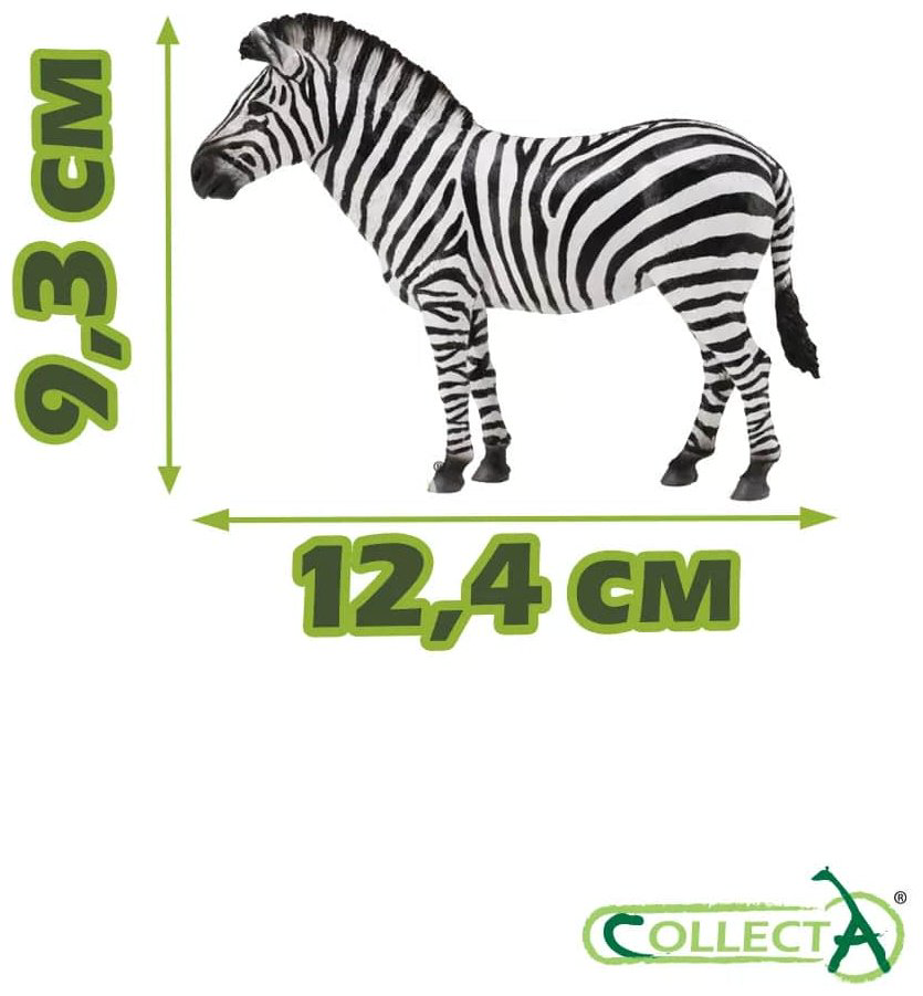 Фигурка Collecta Зебра обыкновенная 9.3 см 1 шт купить,NaN