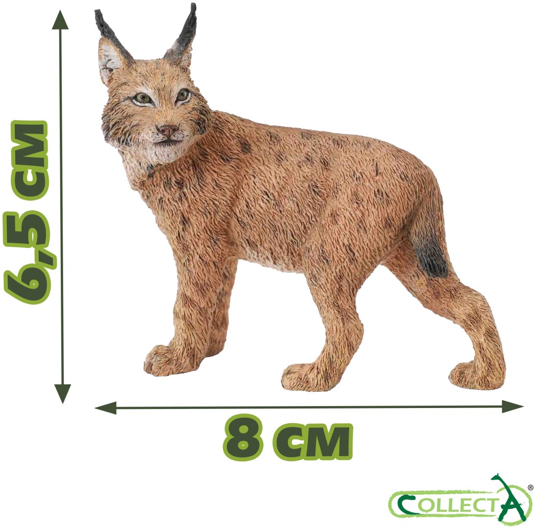 Набор Дикие животные Collecta купить,0