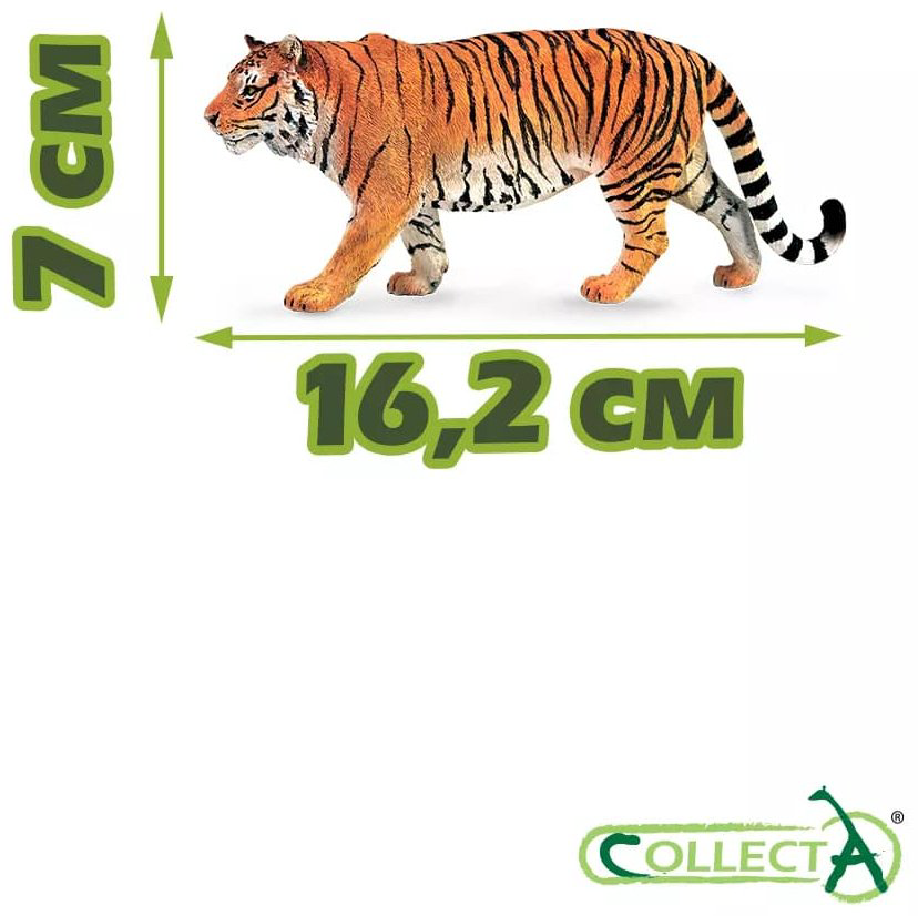 Фигурка Collecta Сибирский тигр 7 см 1 шт