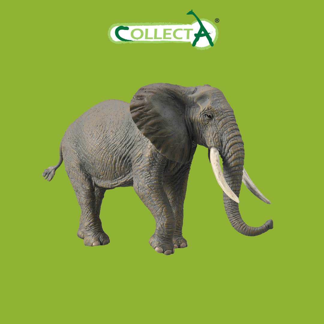 Фигурка Collecta Слон африканский 11 см 1 шт