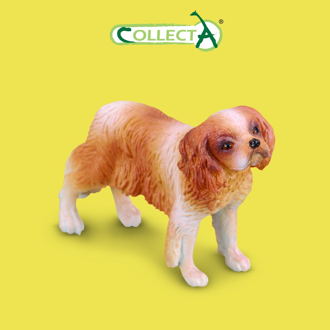 Фигурка Collecta Кинг Чарльз спаниель 4 см 1 шт