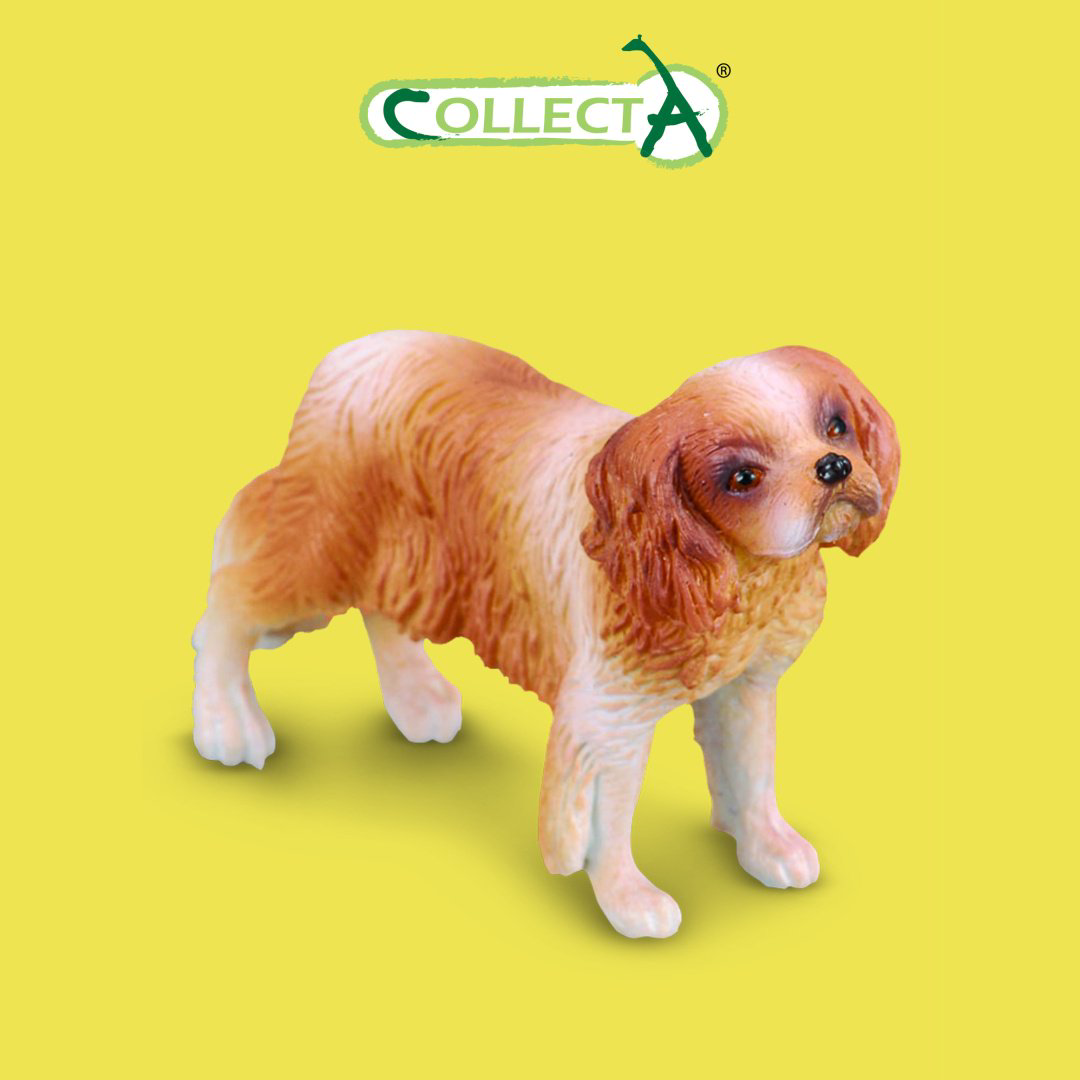 Фигурка Collecta Кинг Чарльз спаниель 4 см 1 шт купить,NaN
