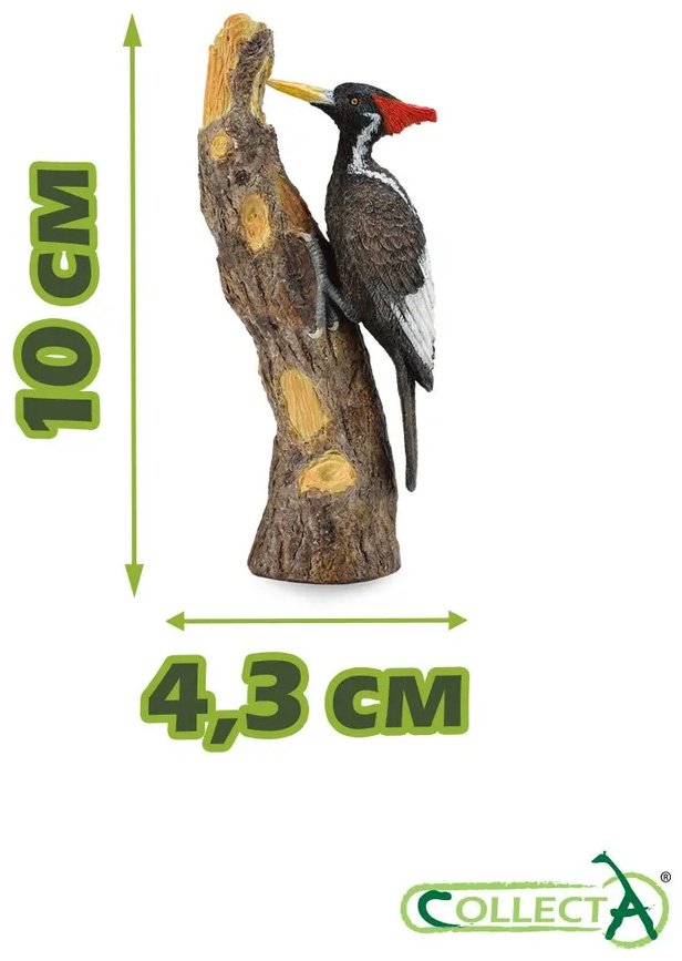 Фигурка Collecta Белоклювый Дятел, L 10 см 1 шт