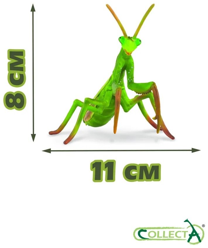 Фигурка Collecta Богомол 8 см 1 шт