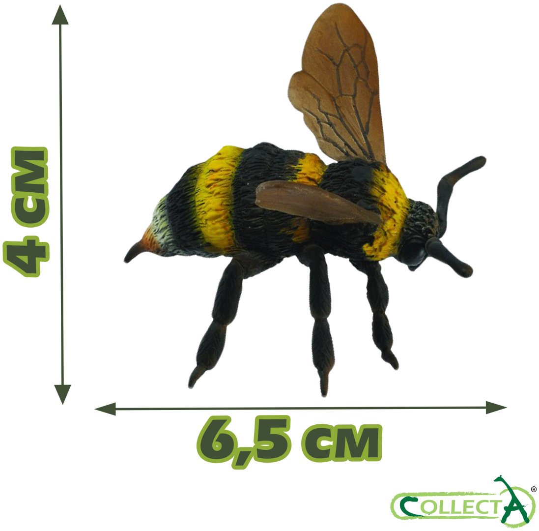 Набор Насекомые Collecta - ForteMarket Набор Насекомые Collecta купить,0
