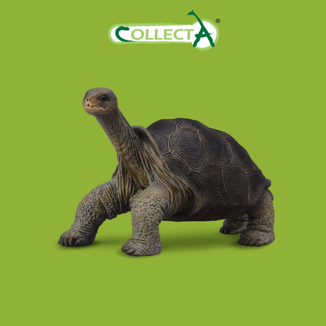 Фигурка Collecta Абингдонская слоновая черепаха 5.3 см 1 шт