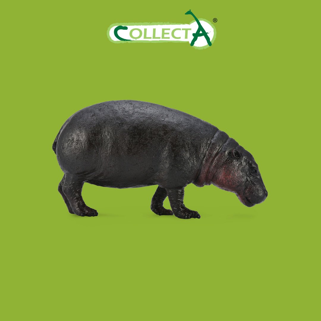 Фигурка Collecta Карликовый бегемот 5.5 см 1 шт