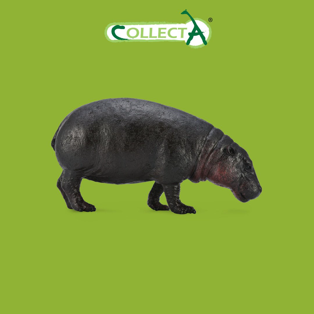 Фигурка Collecta Карликовый бегемот 5.5 см 1 шт купить,NaN