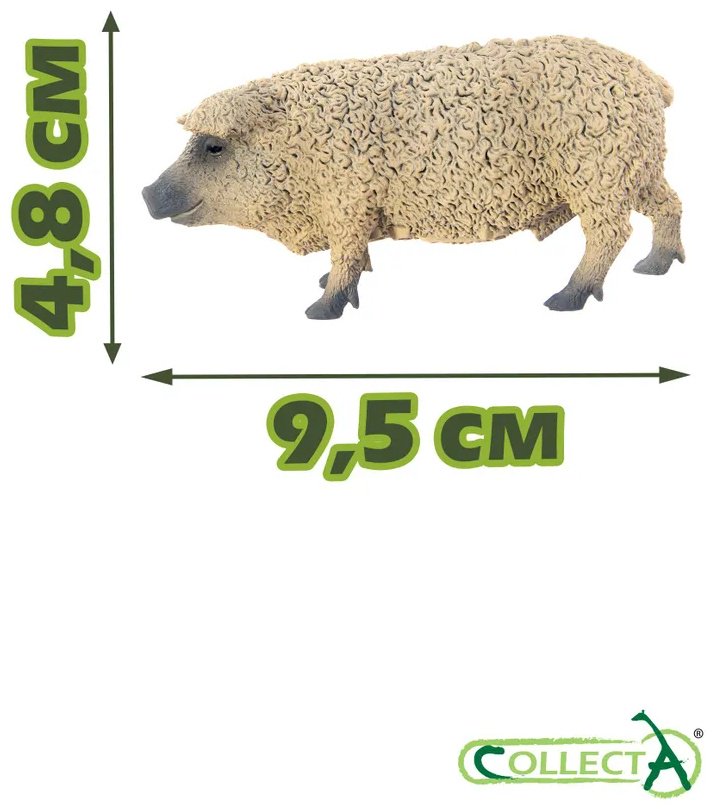 Фигурка Collecta Венгерская свинка, M 4.8 см 1 шт
